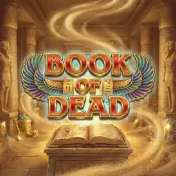 Book of Dead game at Donbet Casino for United Kingdom players