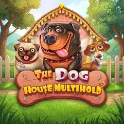 The Dog House Multihold game at Donbet Casino for United Kingdom players